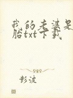 我的老婆是双胞胎txt下载