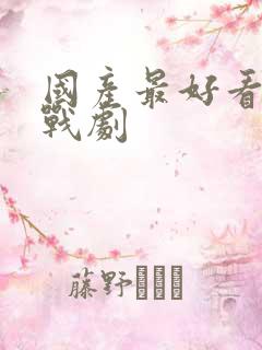 国产最好看的谍战剧