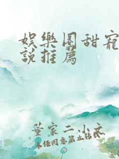 娱乐圈甜宠文小说推荐