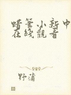 蜡笔小新中文版在线观看