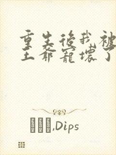 重生后我被偏执王爷宠坏了