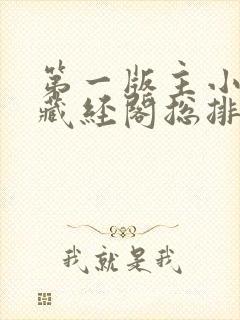 第一版主小说网藏经阁总排行