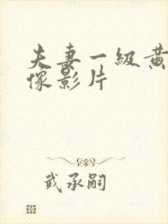夫妻一级黄色录像影片