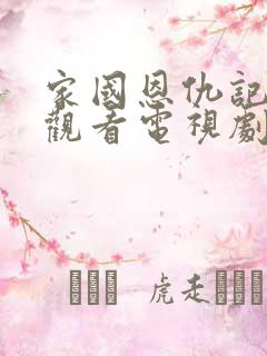 家国恩仇记免费观看电视剧全集