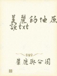 美丽的他原著小说txt