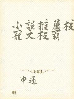 小说推荐校园甜宠文校霸