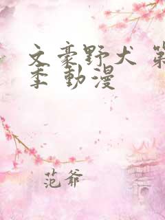 文豪野犬 第二季 动漫