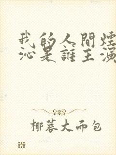 我的人间烟火许沁是谁主演的