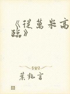 《从万米高空降临》