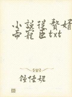 小说从赘婿到女帝宠臣txt