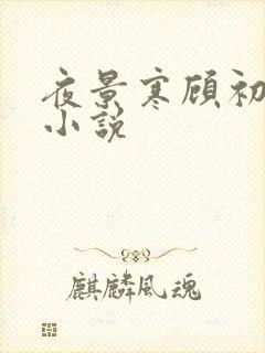 夜景寒顾初暖的小说