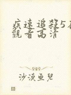 疾速追杀5在线观看高清