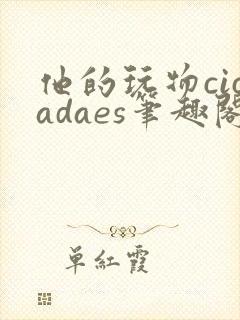 他的玩物cicadaes笔趣阁小说