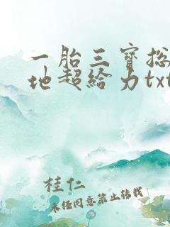 一胎三宝总裁爹地超给力txt