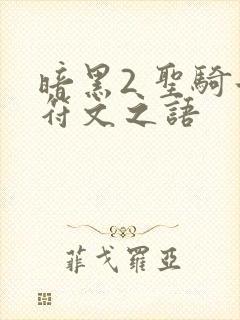 暗黑2 圣骑士符文之语