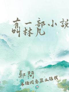 有一部小说主角叫林凡