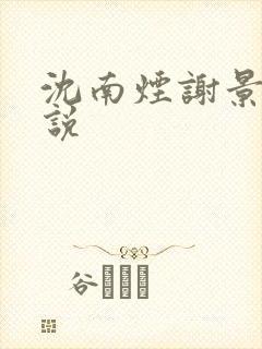 沈南烟谢景皓小说