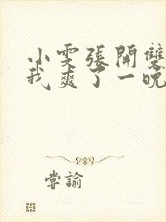 小雯张开双腿让我爽了一晚上