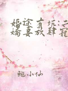 婚途有坑:二嫁娇妻放肆宠小说