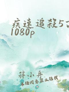 疾速追杀5高清1080p