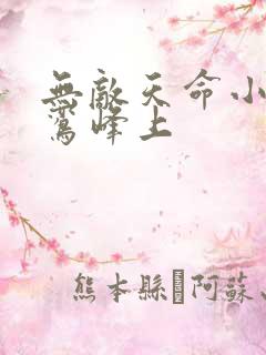 无敌天命小说青鸾峰上