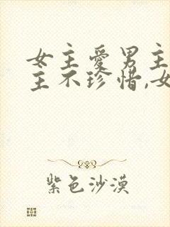 女主爱男主,男主不珍惜,女主放弃