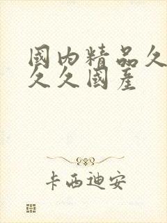 国内精品久久久久久国产