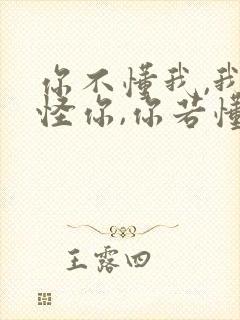 你不懂我,我不怪你,你若懂我,该有多好