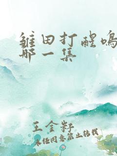 雏田打醒鸣人是哪一集