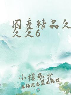 国产精品久久久久久6