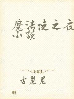 魔法使之夜同人小说