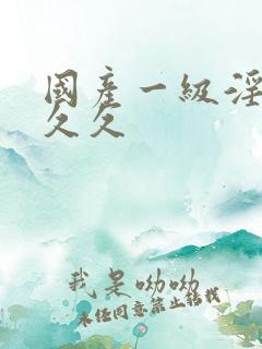 国产一级淫片久久久