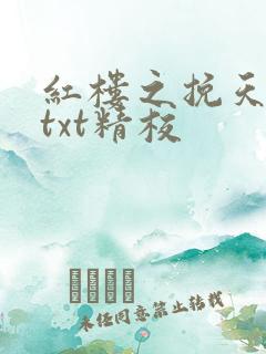 红楼之挽天倾无txt精校