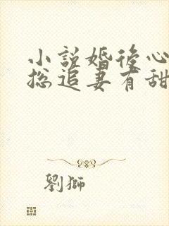 小说婚后心动凌总追妻有甜