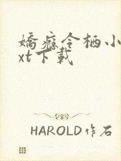 娇瘾令栖小说txt下载