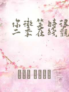 你微笑时很美第二季在线观看免费高清完整版