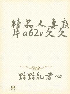 精品人妻熟女毛片a62v久久