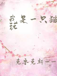 我是一只猫怎么玩