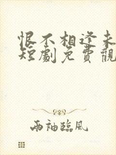 恨不相逢未嫁时短剧免费观看