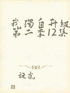 我独自升级动漫第二季12集