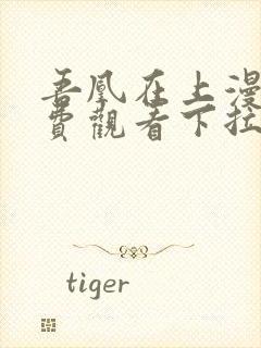 吾凰在上漫画免费观看下拉