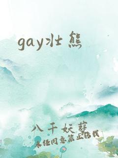 gay壮熊