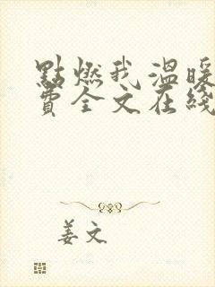 点燃我温暖你免费全文在线观看