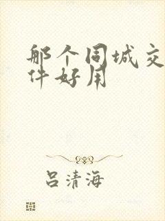 那个同城交友软件好用