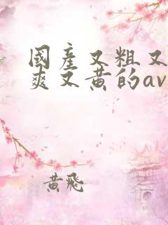 国产又粗又猛又爽又黄的av