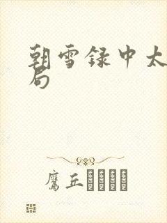 朝雪录中太子结局