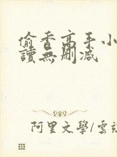 偷香高手小说阅读无删减