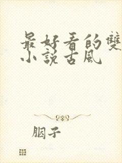 最好看的双男主小说古风