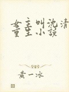 女主叫沈清月的重生小说