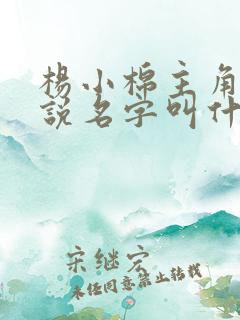 杨小棉主角的小说名字叫什么